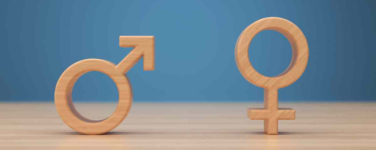 Enjeux de l'égalité des genres dans le développement informatique