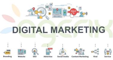 In this highly competitive world, the survival of your business depends on how you structure and implement your marketing strategies.