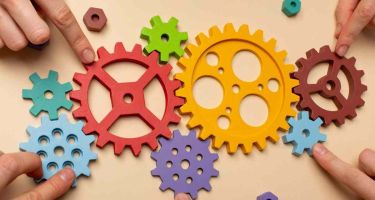 Understanding business processes and associated rules: the foundation of business application development